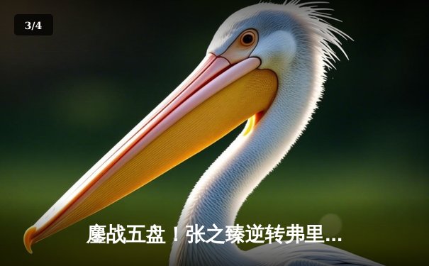 鏖战五盘！张之臻逆转弗里茨创历史，首进温网男单16强 - 3